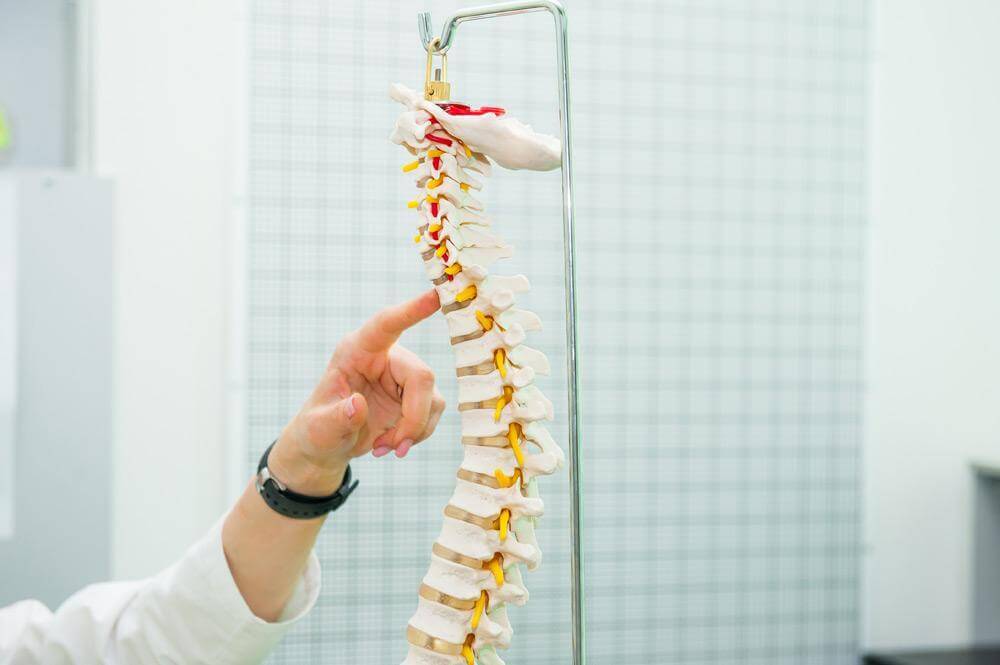 How Important Is Your Posture? The Shocking Truth (2026) - OptimalBack